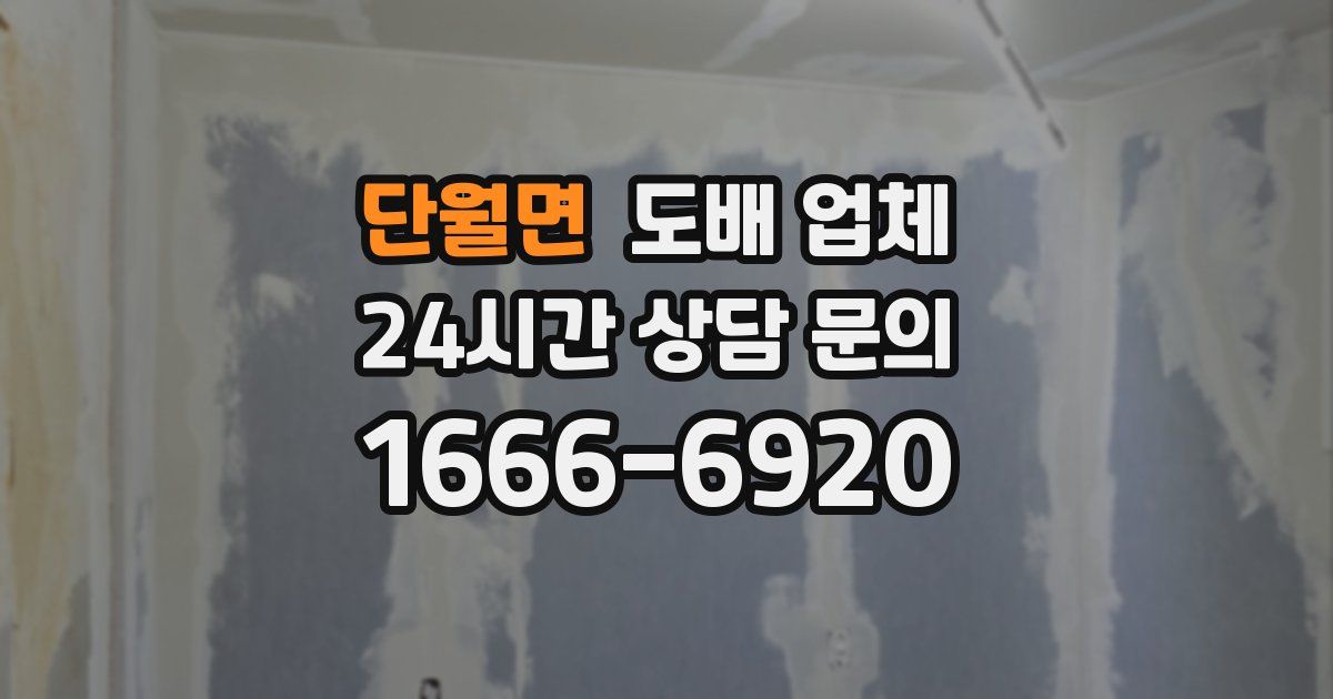 단월면 도배 업체