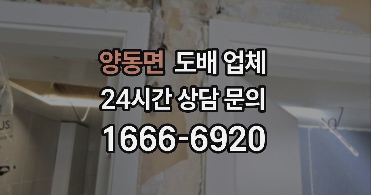 양동면 도배 업체