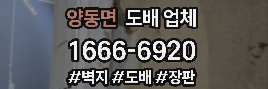 양동면 도배 업체