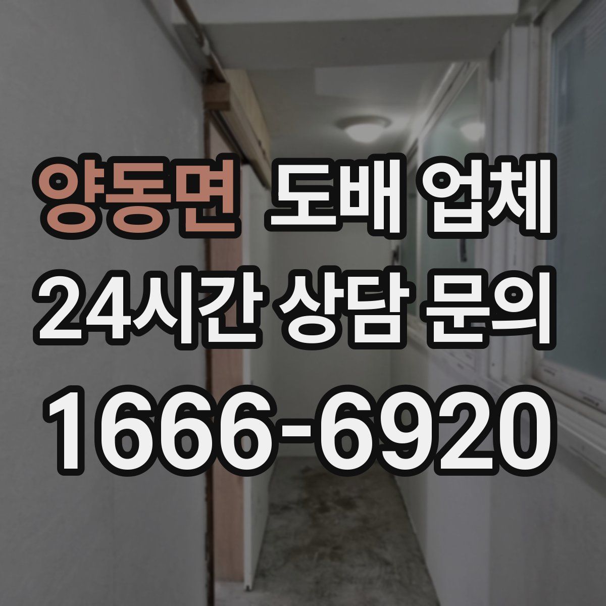 양동면 도배 업체