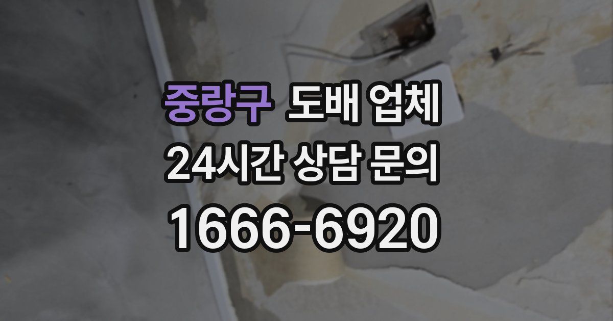 중랑구 도배 업체