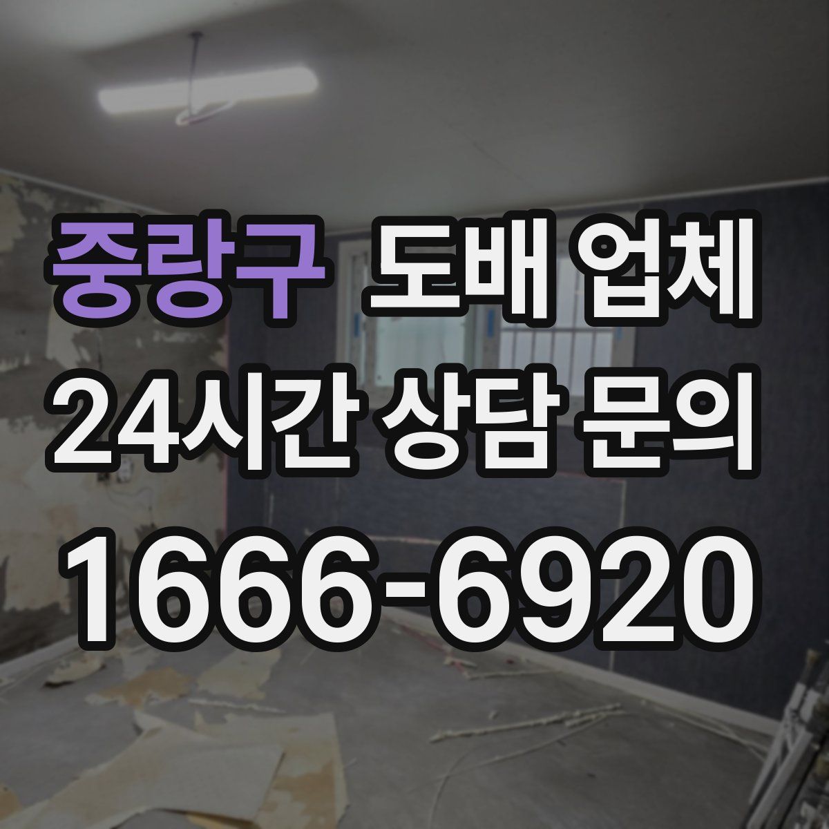 중랑구 도배 업체