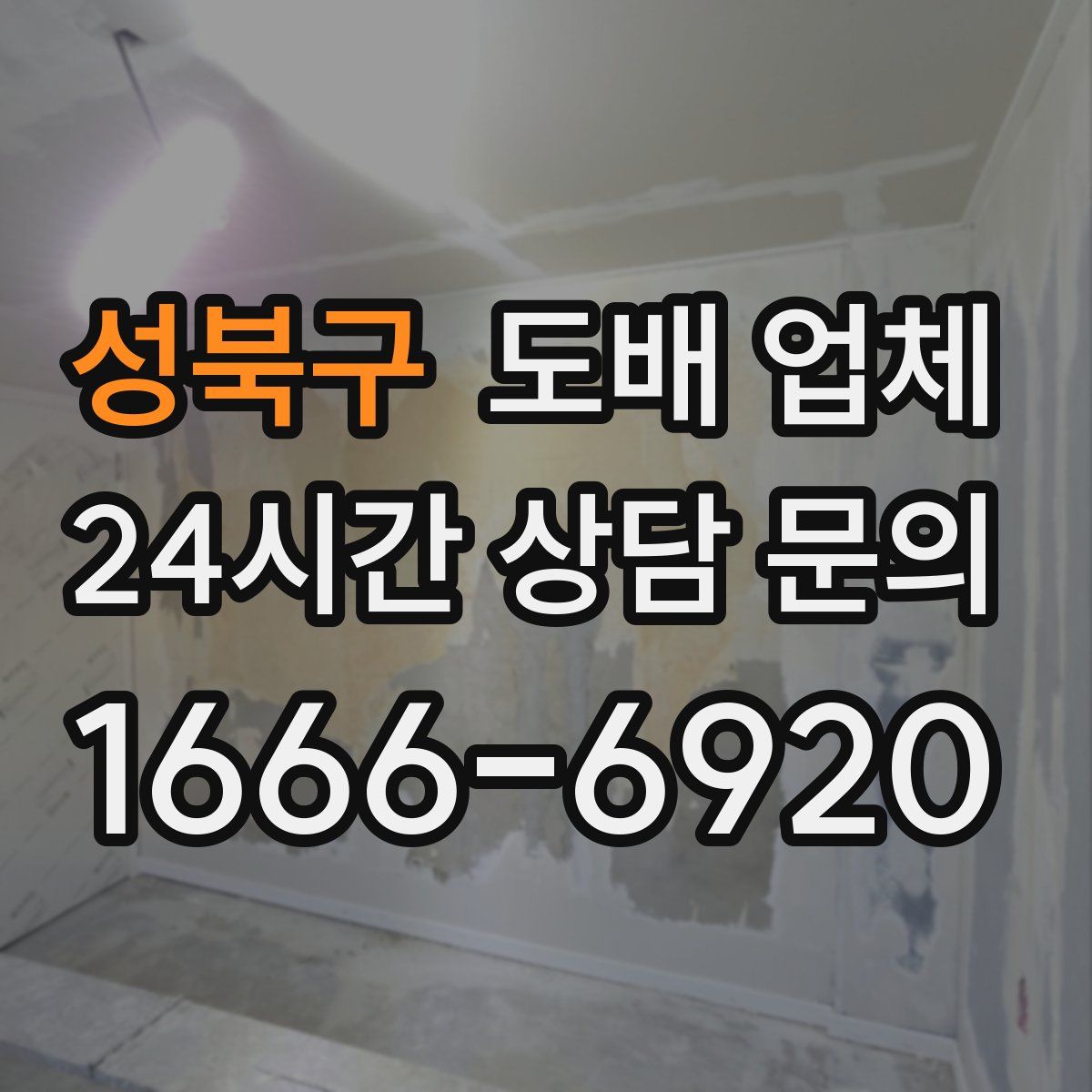 성북구 도배 업체