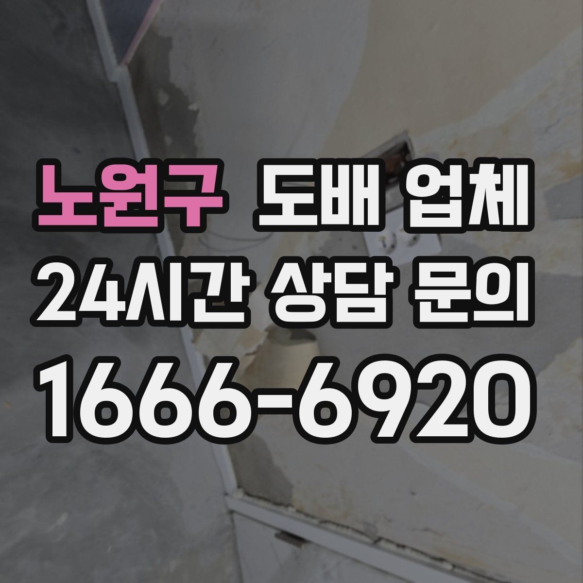 노원구 도배 업체 비교할 때 서비스와 범위를 함께 보자