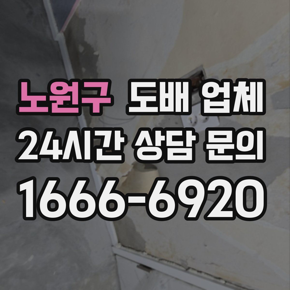 노원구 도배 업체