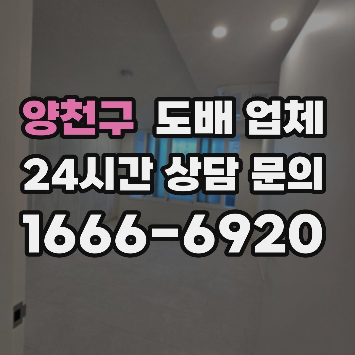 양천구 도배 업체