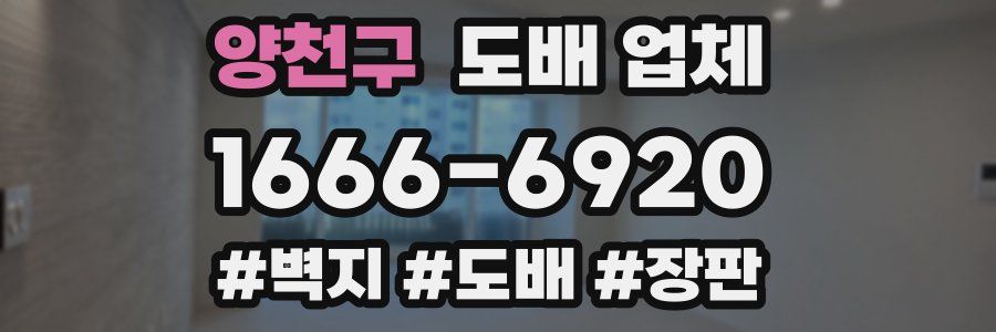 양천구 도배 업체