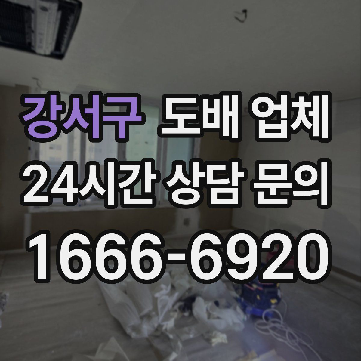 강서구 도배 업체