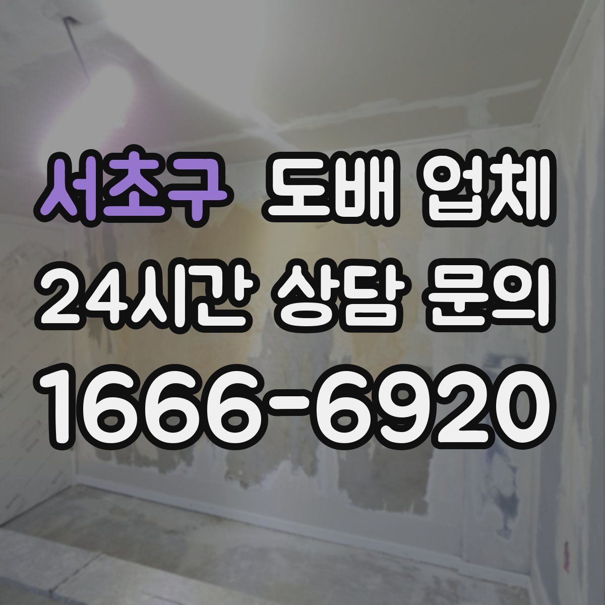서초구 도배 업체