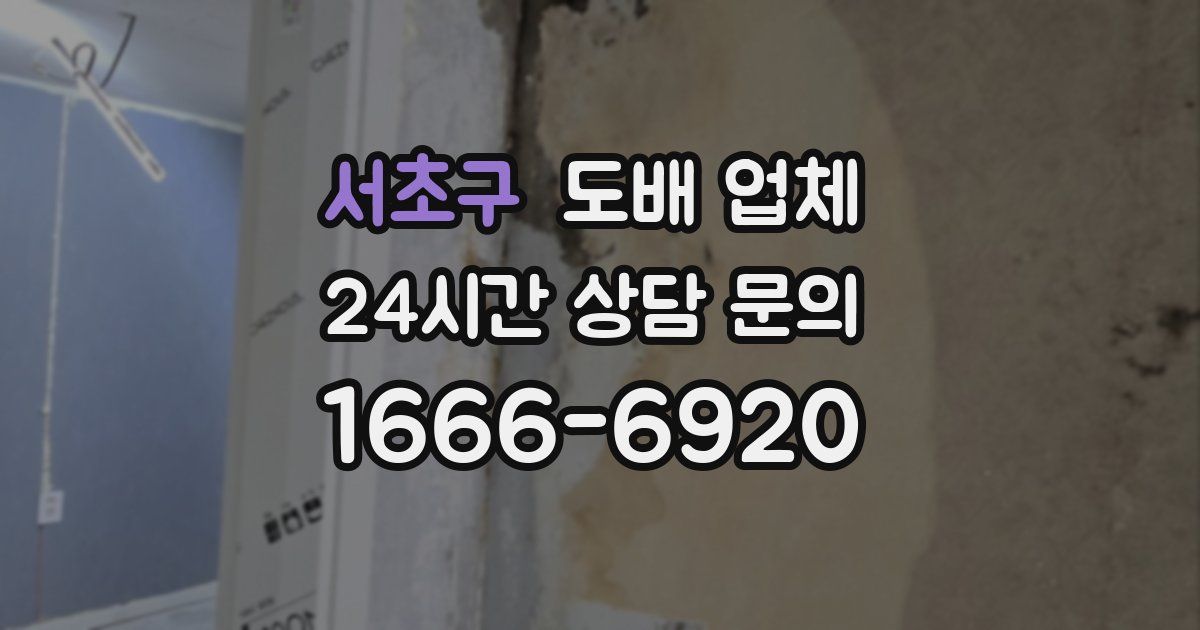서초구 도배 업체
