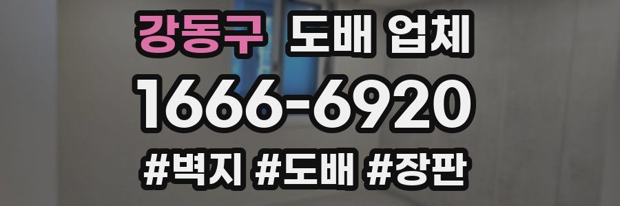 강동구 도배 업체