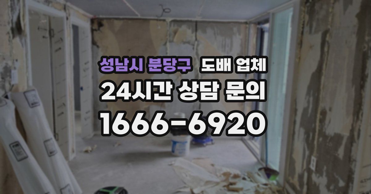 성남시 분당구 도배 업체