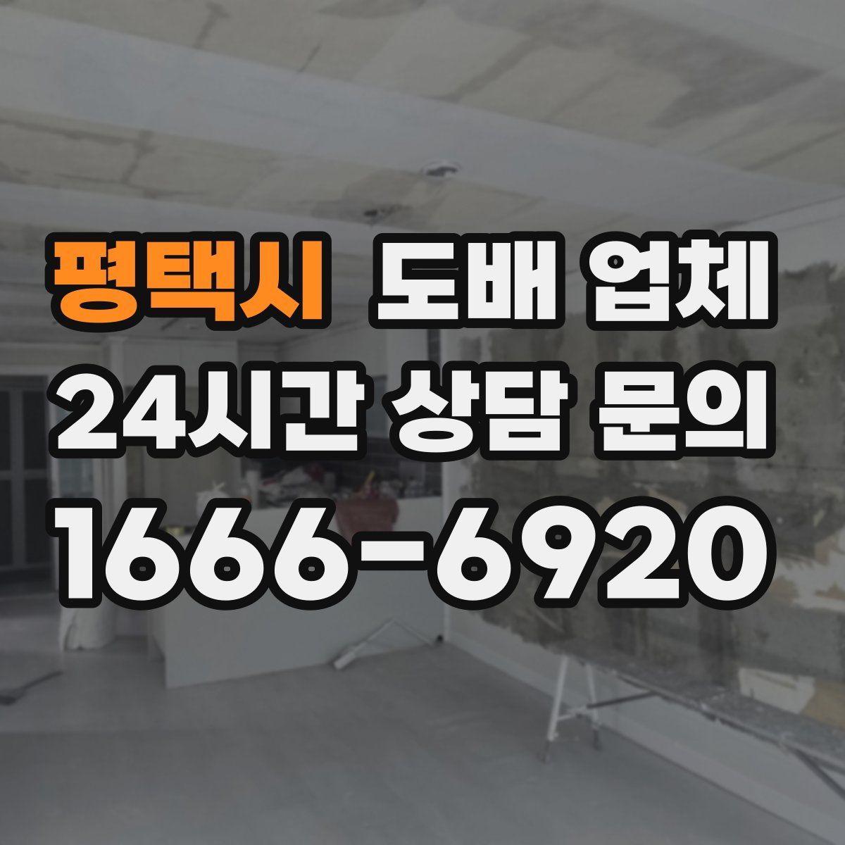평택시 도배 업체