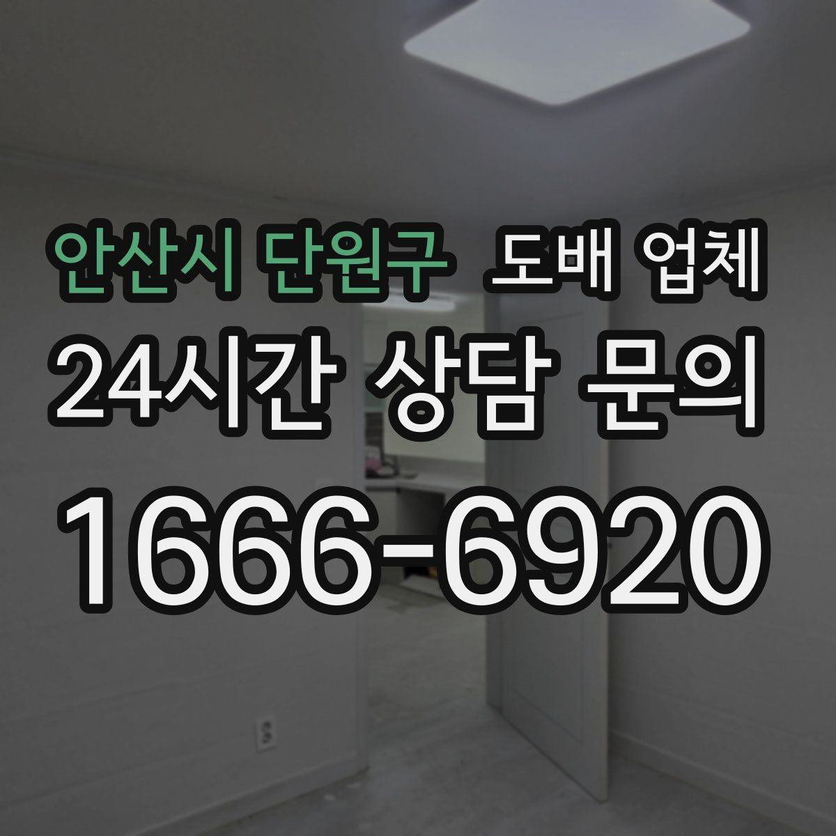 안산시 단원구 도배 업체