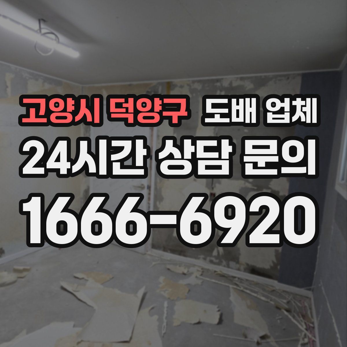 고양시 덕양구 도배 업체