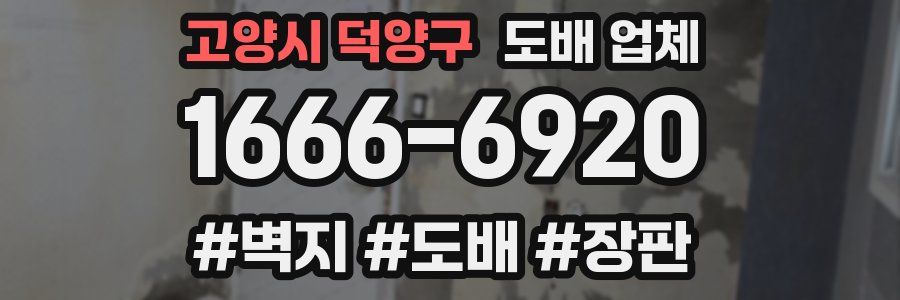 고양시 덕양구 도배 업체