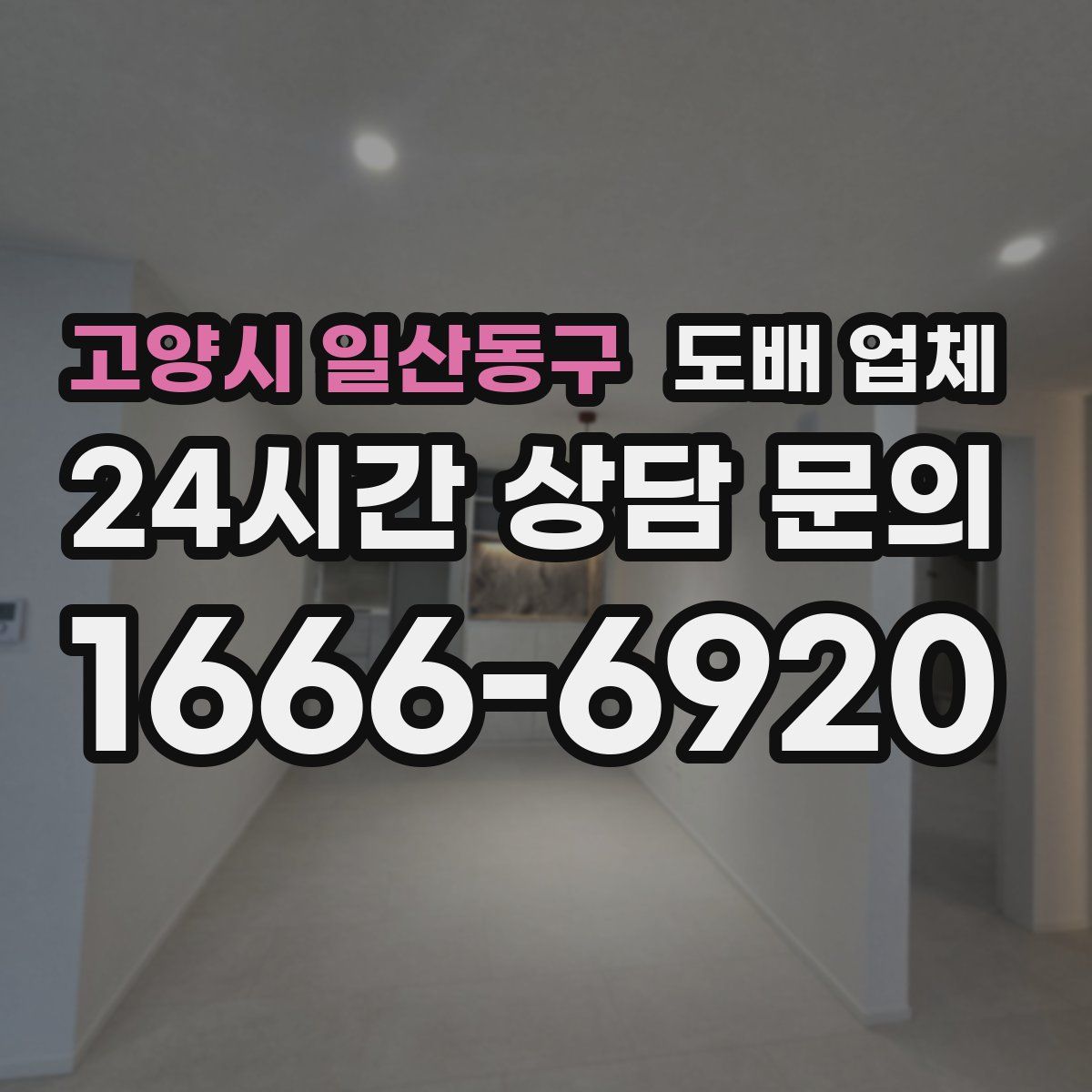 고양시 일산동구 도배 업체