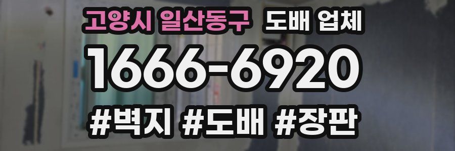 고양시 일산동구 도배 업체