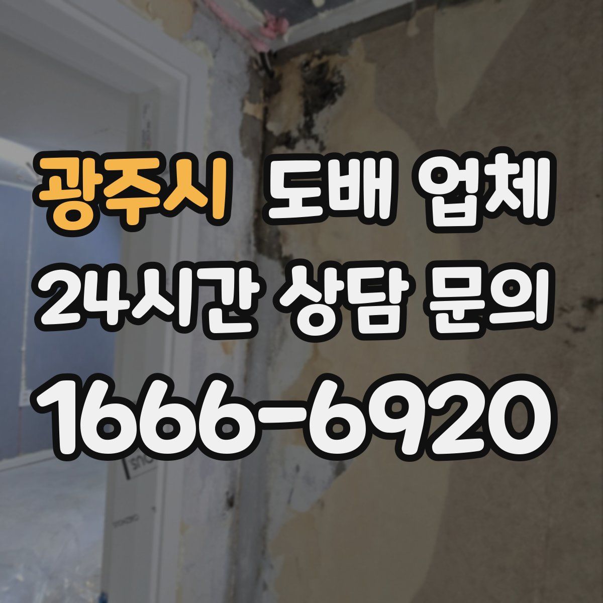 광주시 도배 업체