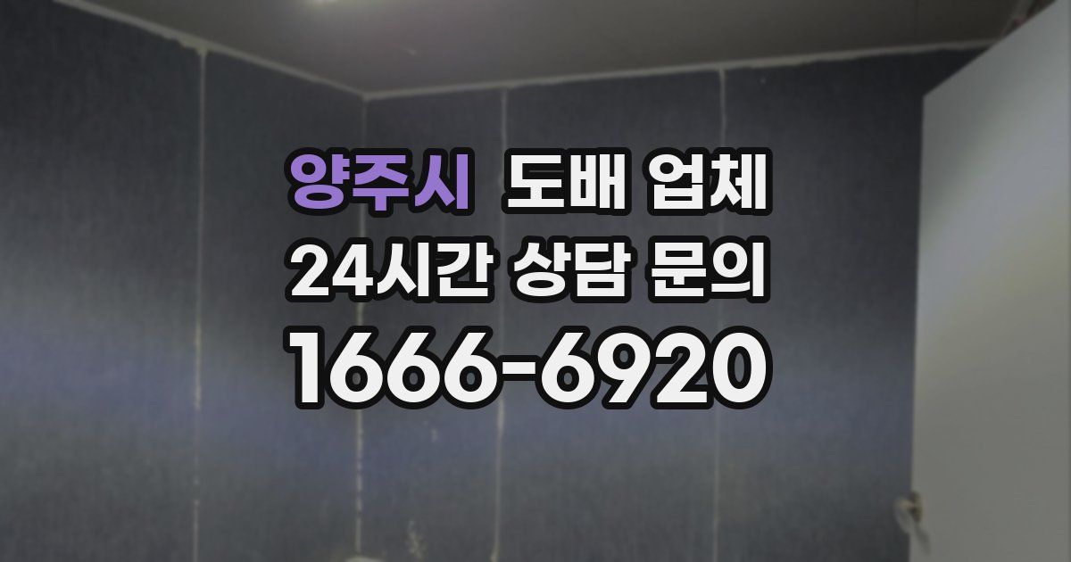 양주시 도배 업체