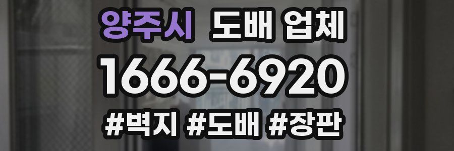 양주시 도배 업체