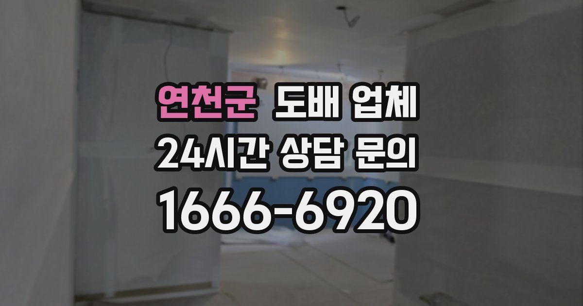 연천군 도배 업체