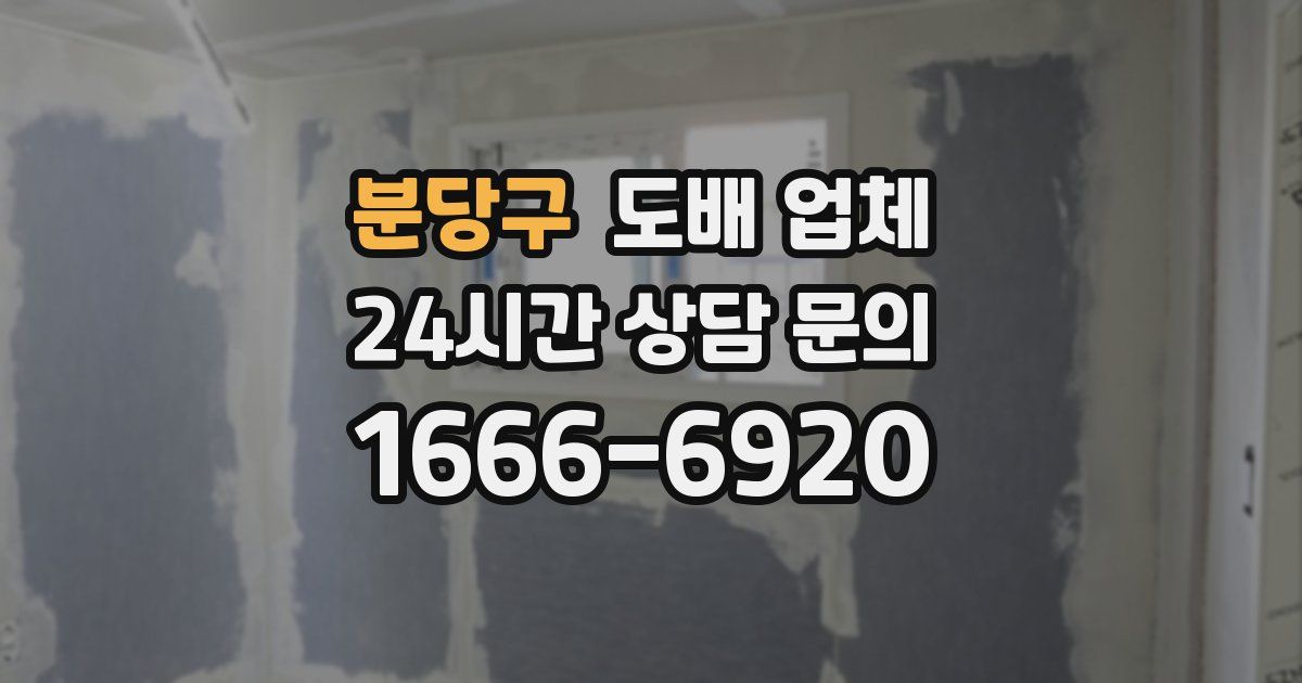 분당구 도배 업체