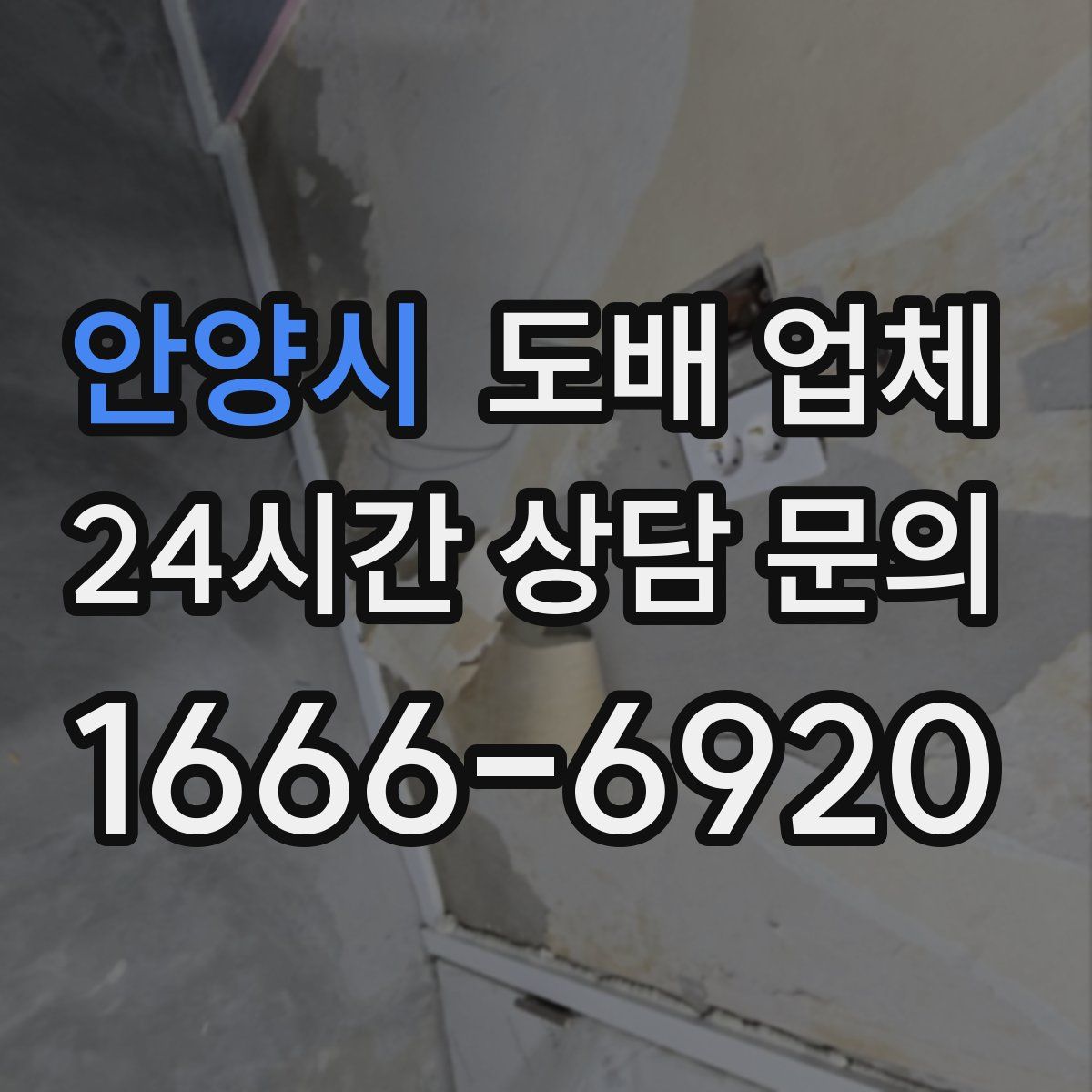 안양시 도배 업체