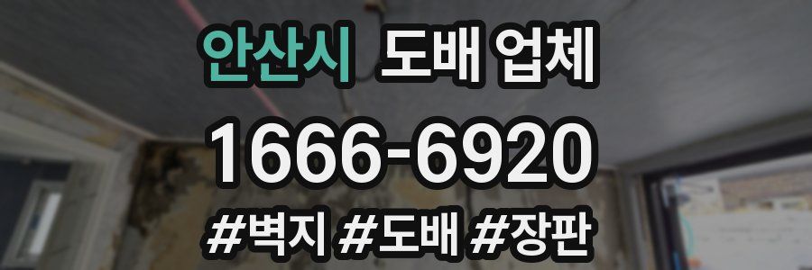 안산시 도배 업체