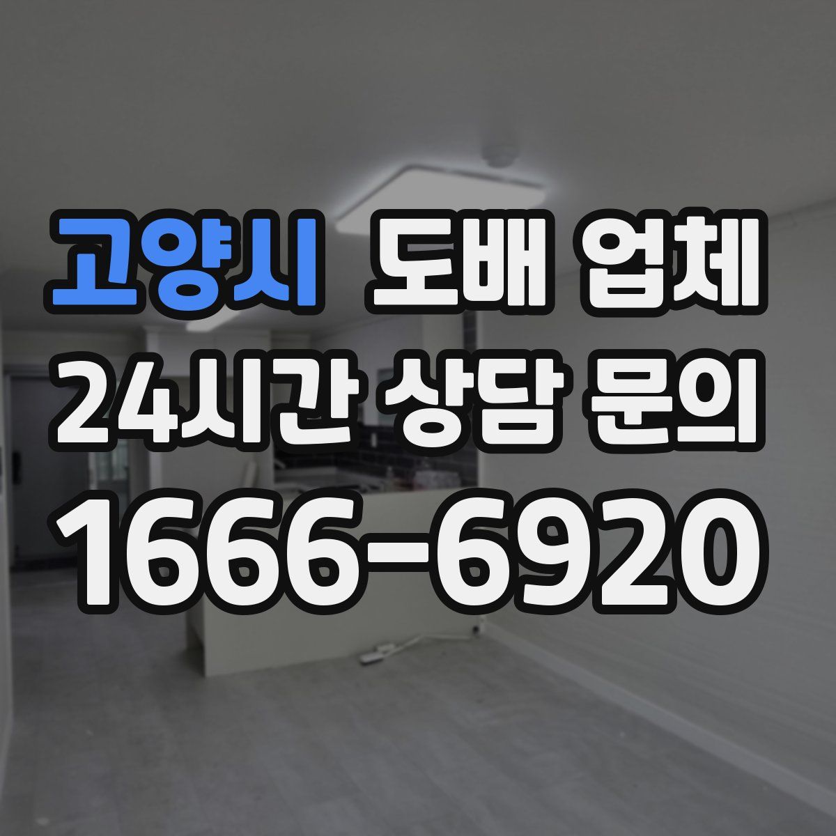 고양시 도배 업체