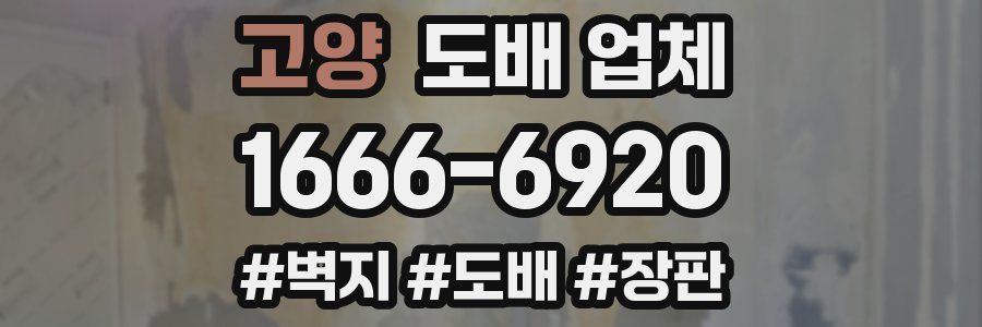 고양 도배 업체