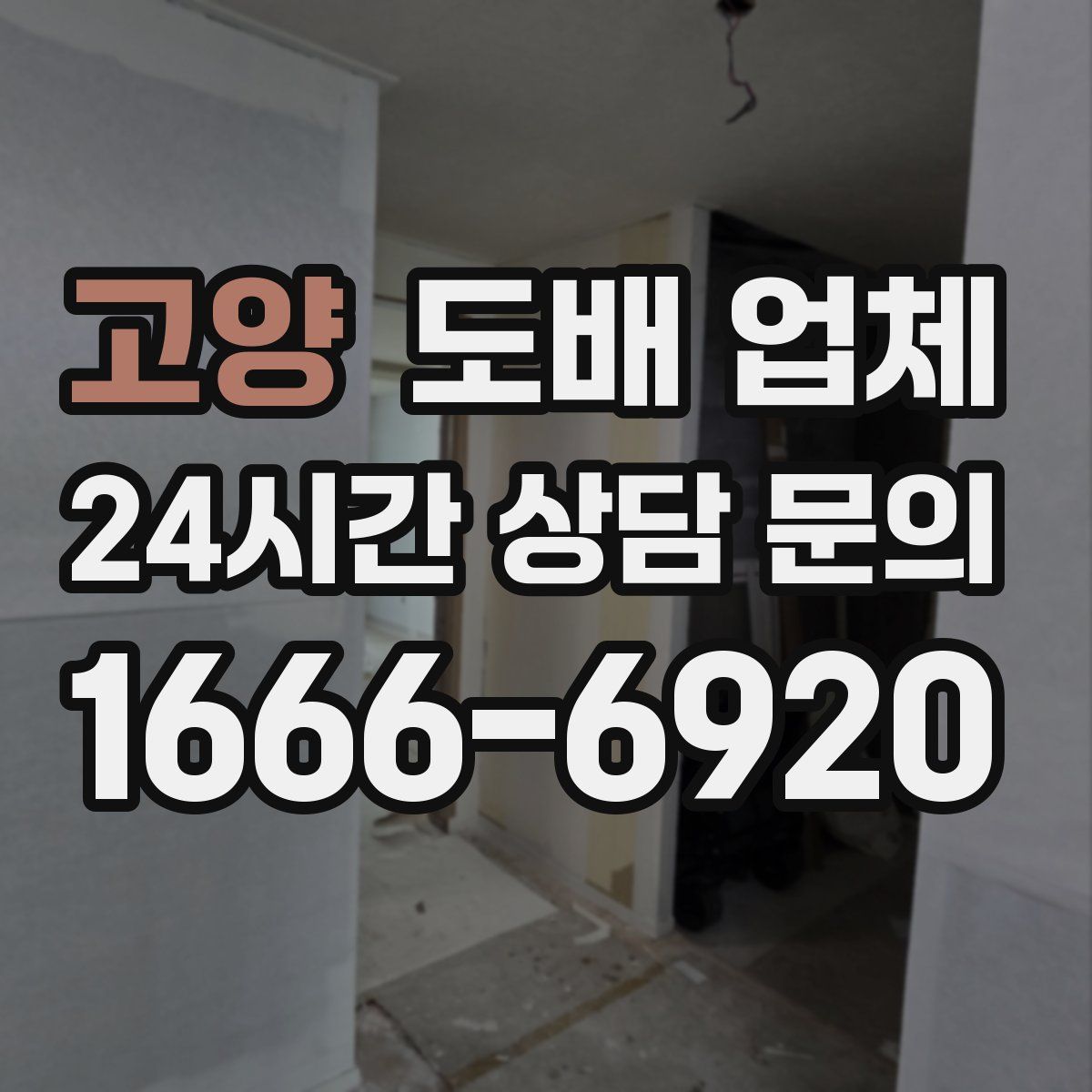 고양 도배 업체
