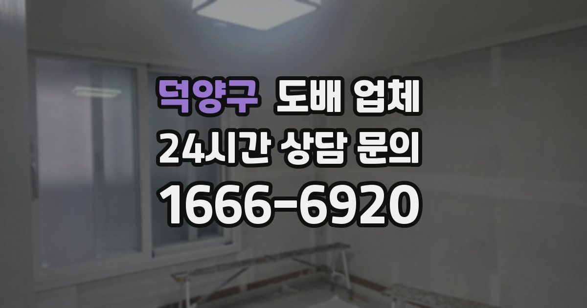 덕양구 도배 업체