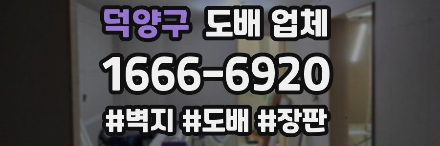 덕양구 도배 업체