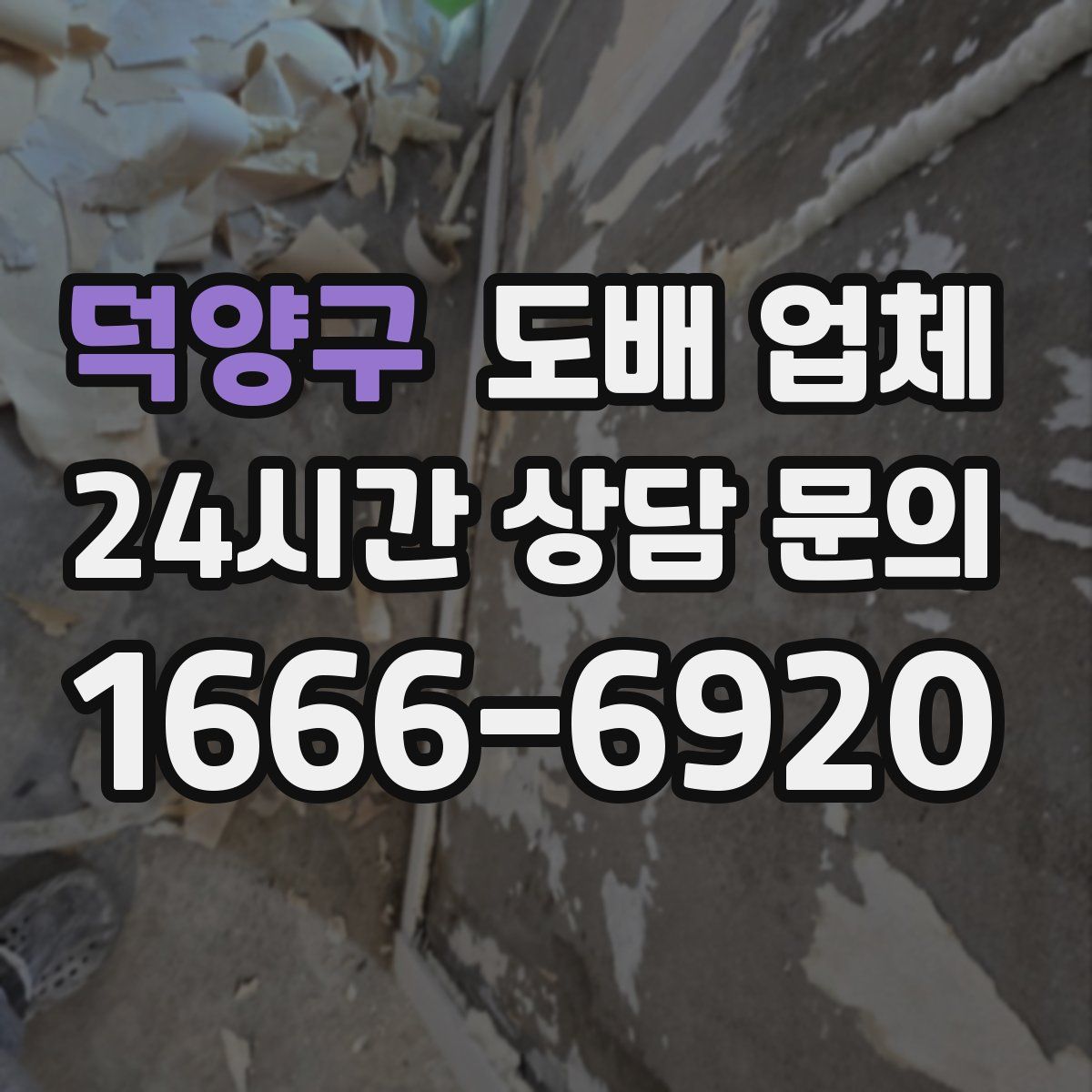 덕양구 도배 업체