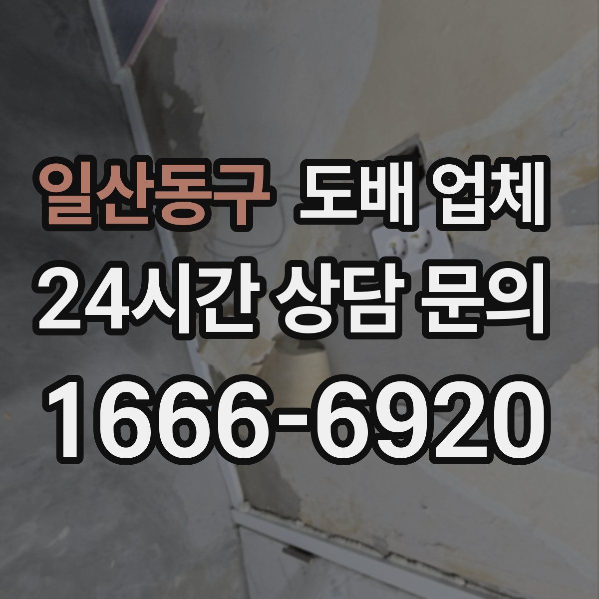 일산동구 도배 업체