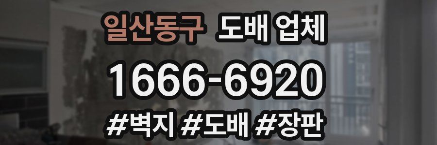 일산동구 도배 업체