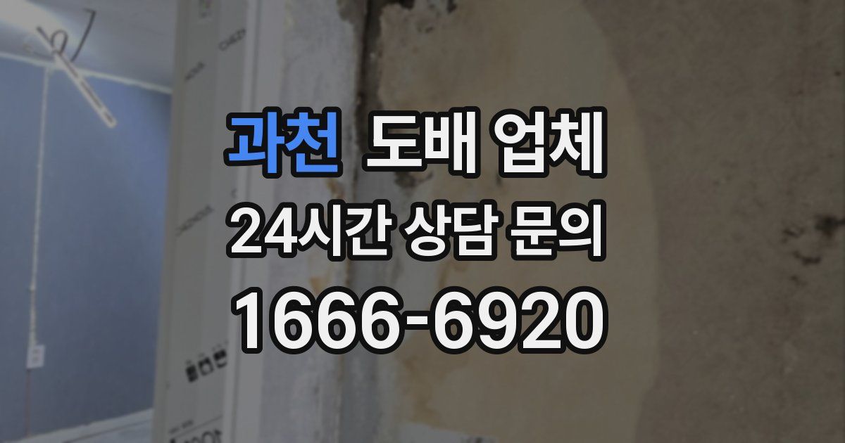 과천 도배 업체