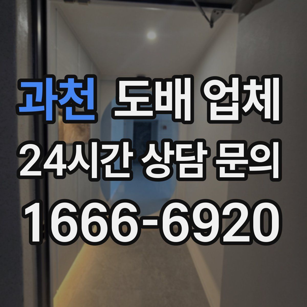 과천 도배 업체