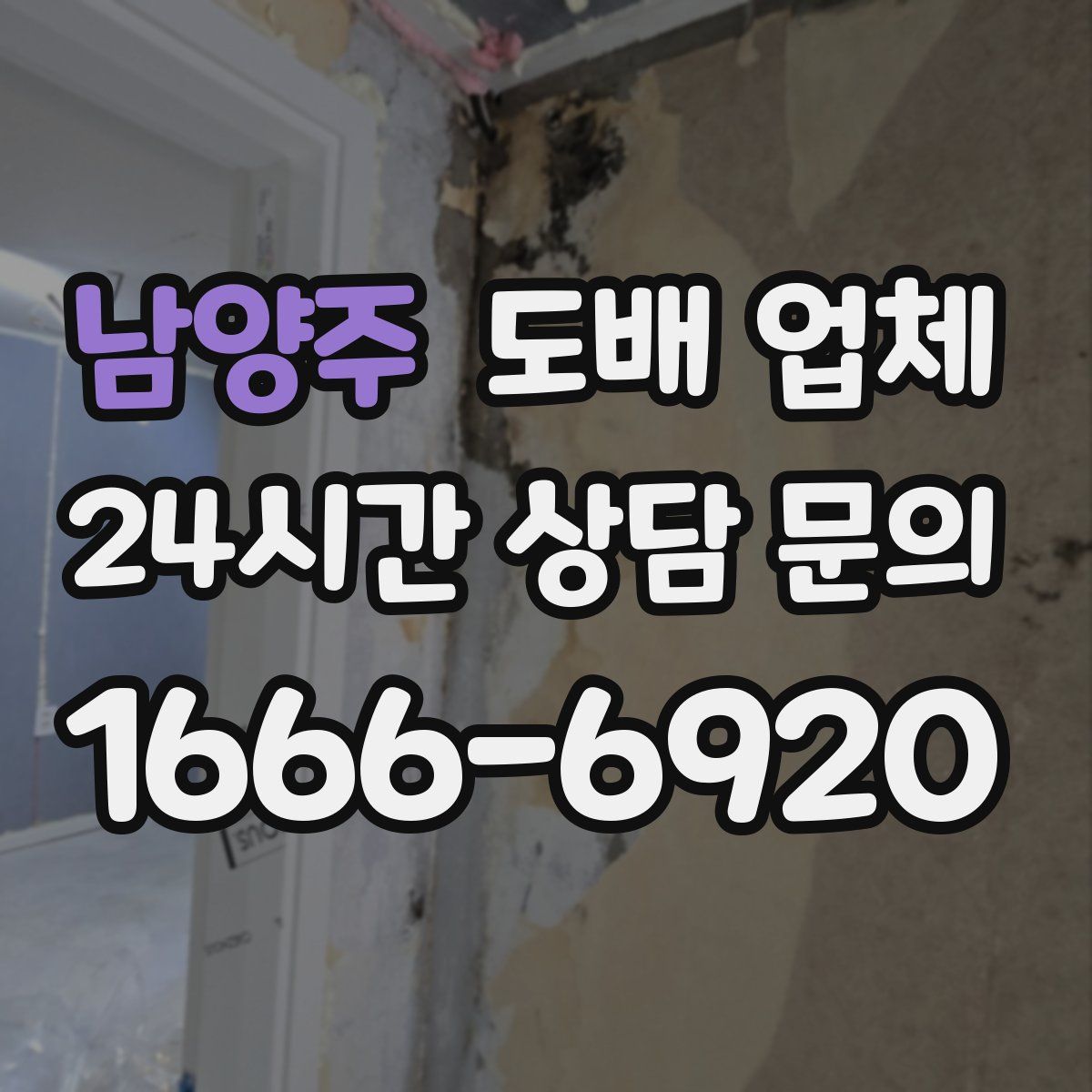 남양주 도배 업체