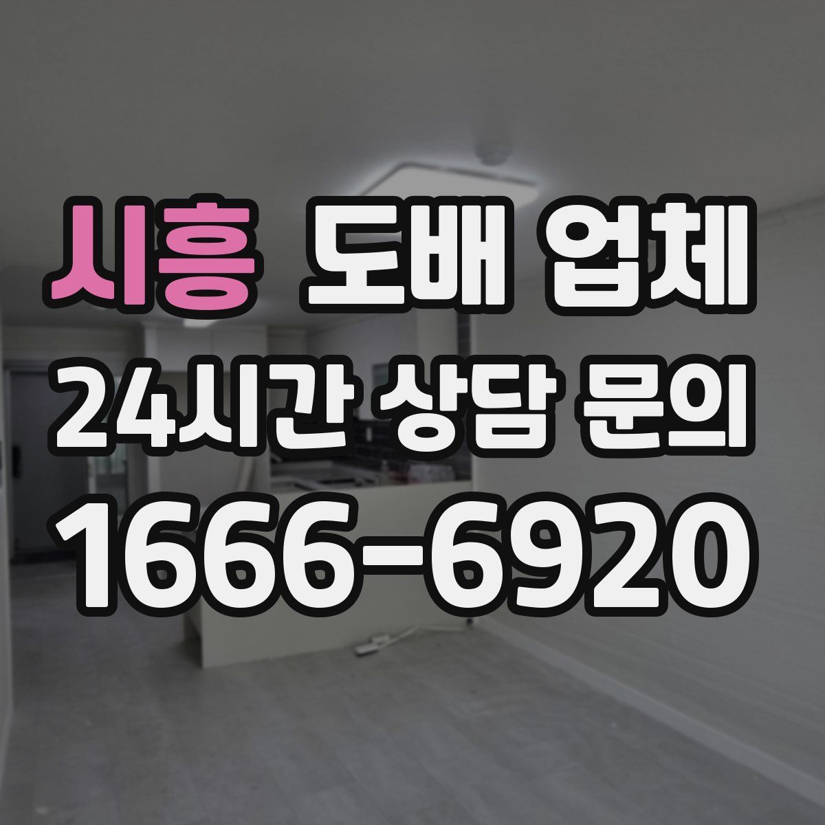 시흥 도배 업체