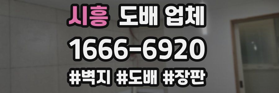 시흥 도배 업체