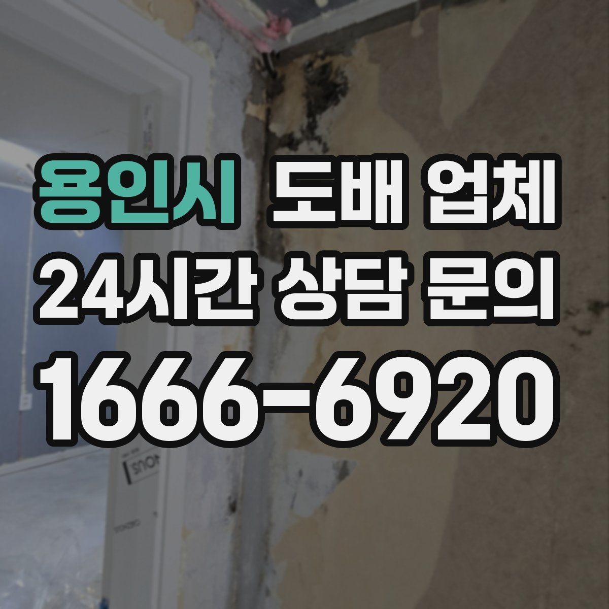 용인시 도배 업체 인테리어와 함께 볼 때 기준