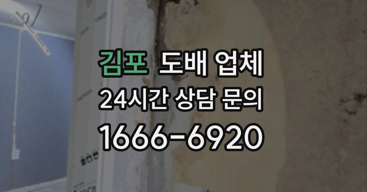 김포 도배 업체