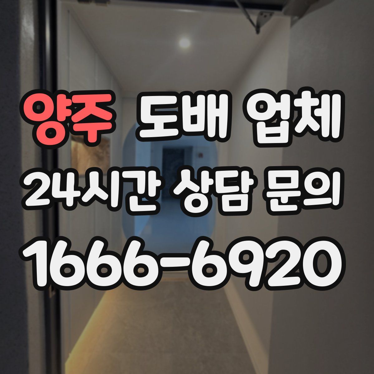 양주 도배 업체