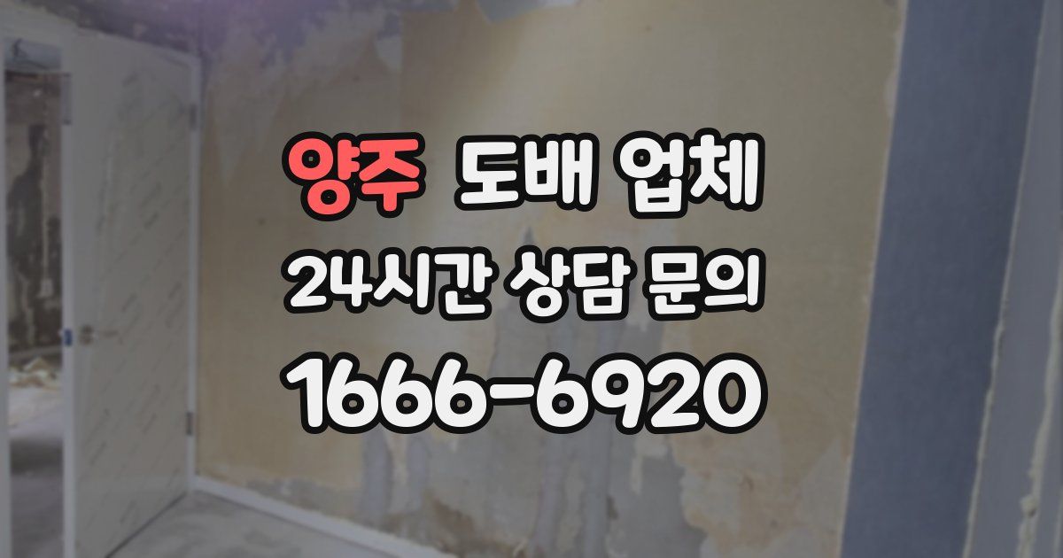 양주 도배 업체