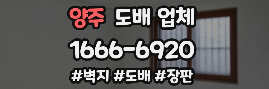 양주 도배 업체