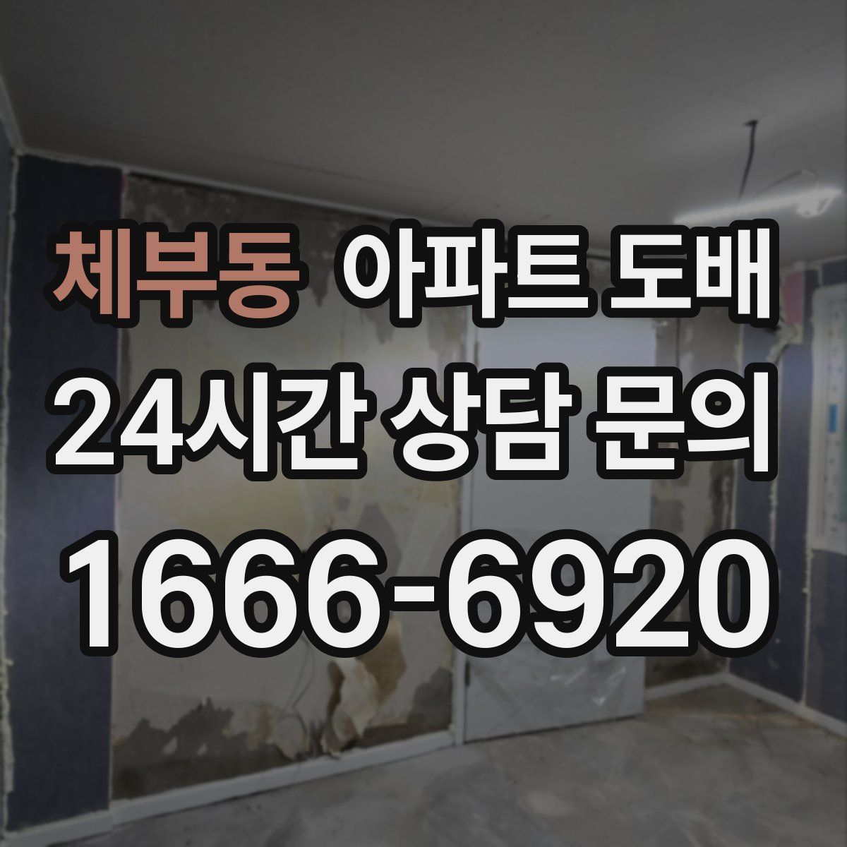 체부동 아파트 도배