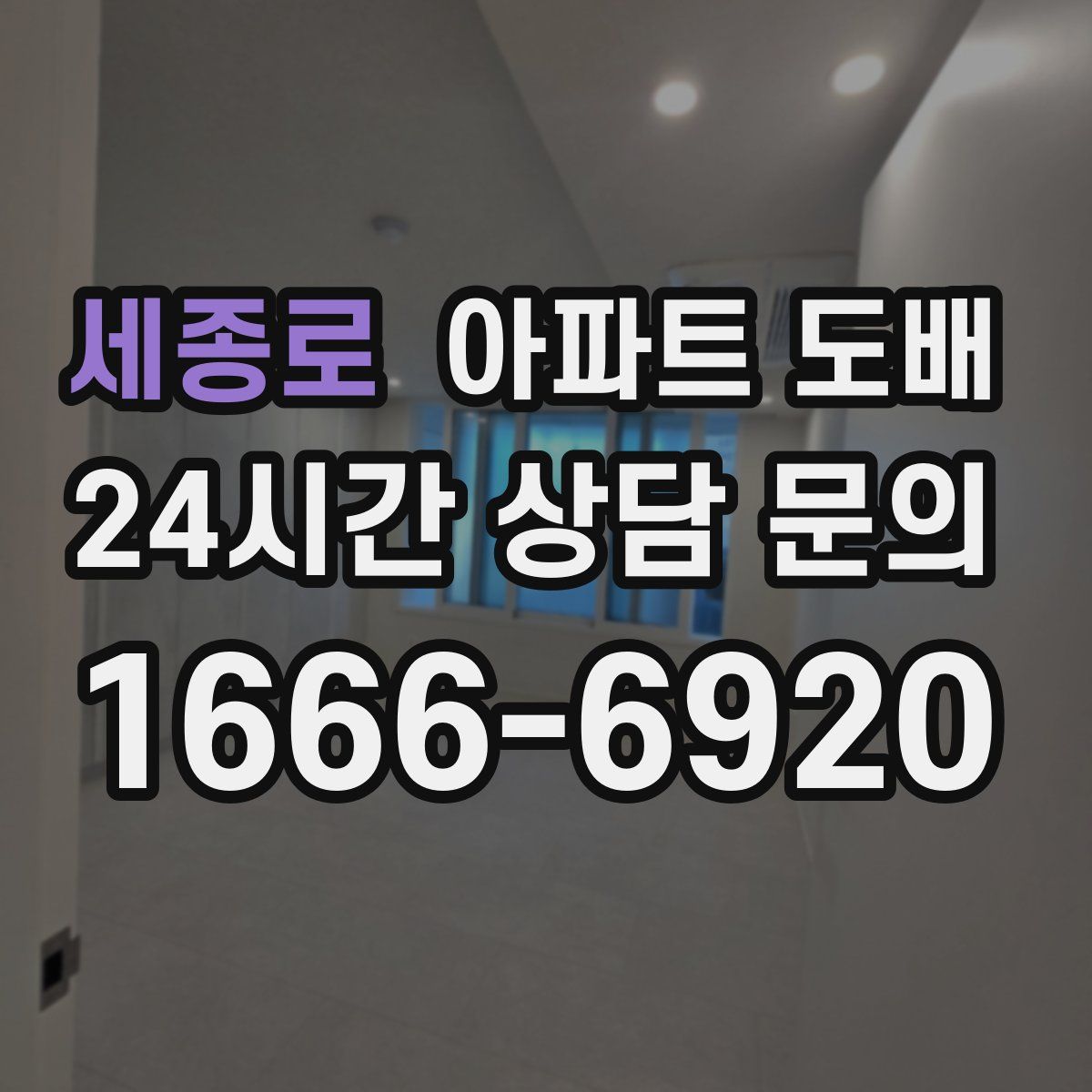 세종로 아파트 도배