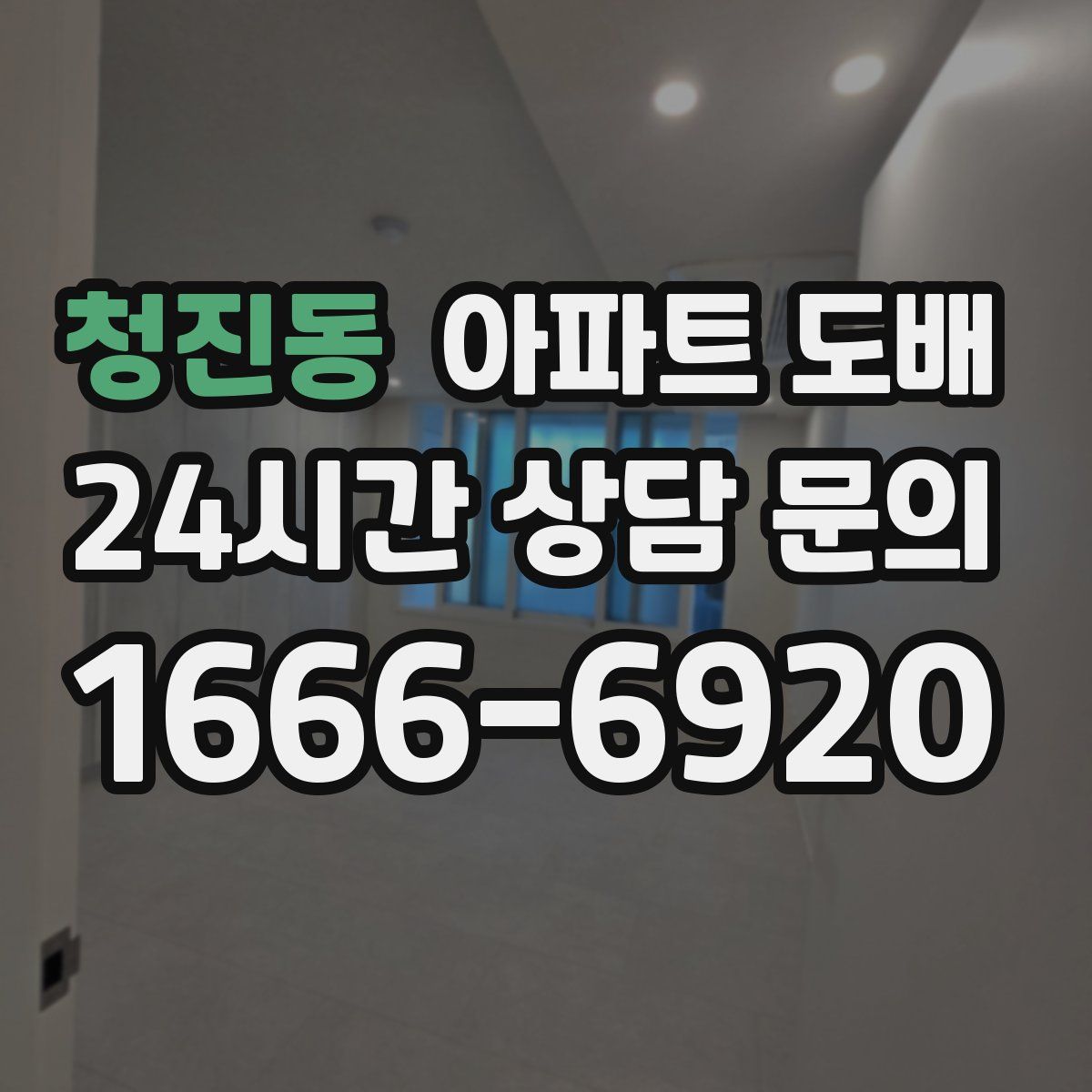 청진동 아파트 도배